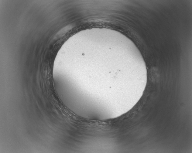 X0000076421111200611031806