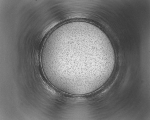 X0000076421113200611031806