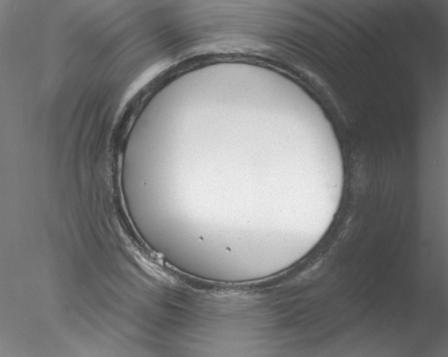 X0000076421114200611031806