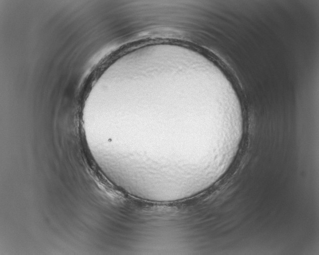 X0000076421115200611031806