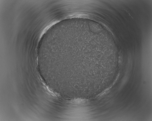 X0000076421117200611031806