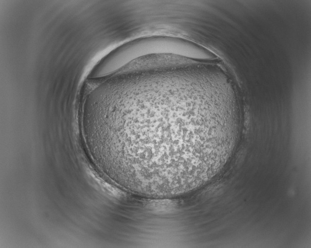 X0000076421120200611031806