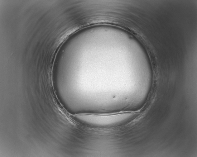 X0000076421121200611031806