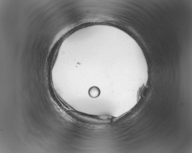 X0000076421122200611031806