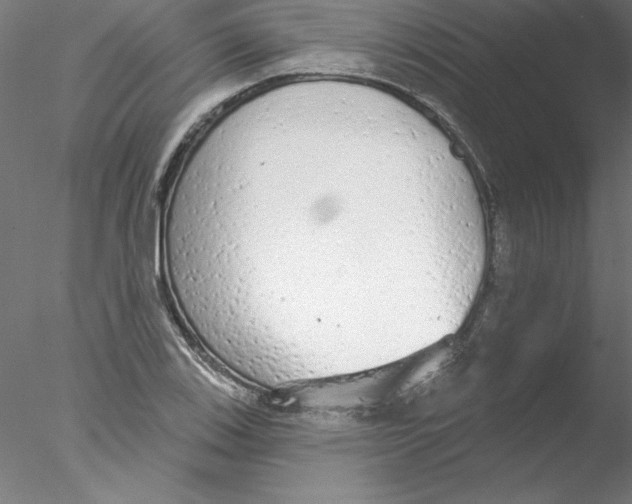 X0000076421123200611031806