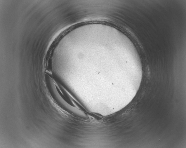 X0000076421124200611031806