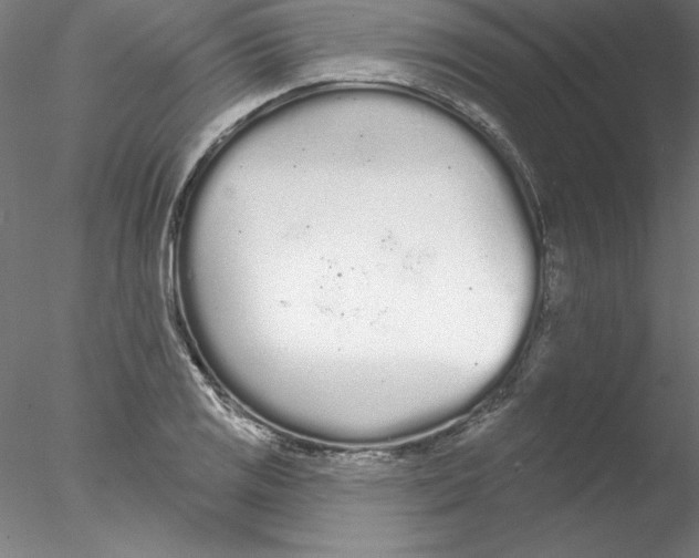 X0000076421125200611031806