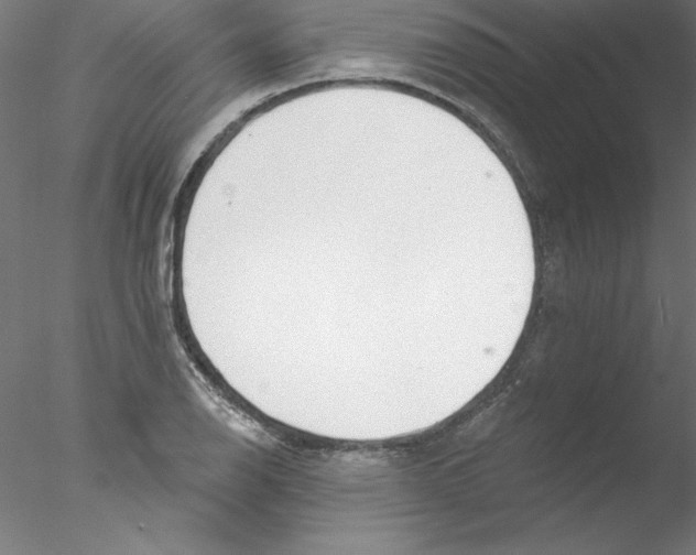 X0000076421126200611031806