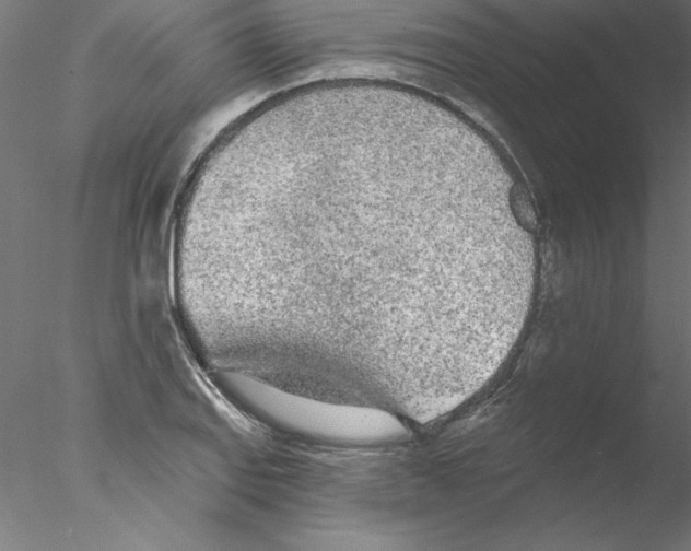 X0000076421127200611031806