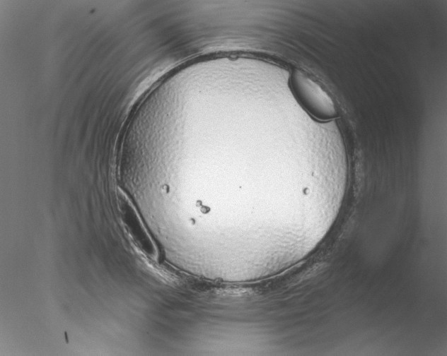 X0000076421129200611031806