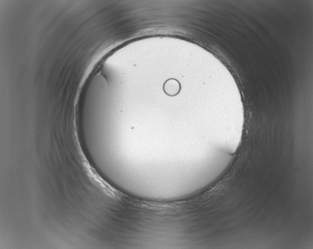 X0000076421132200611031806