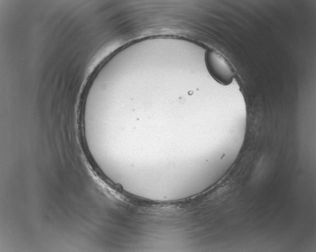 X0000076421135200611031806