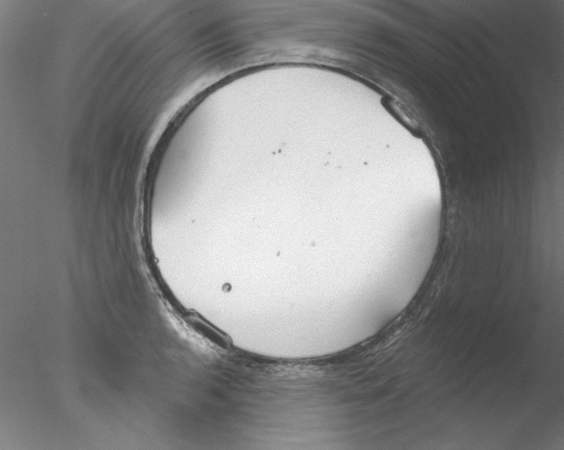 X0000076421136200611031806