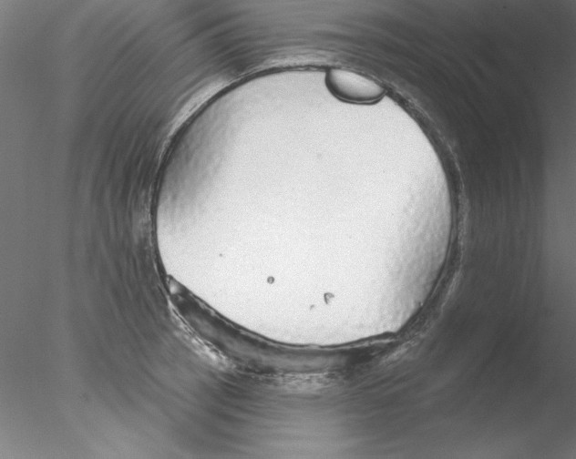 X0000076421137200611031807