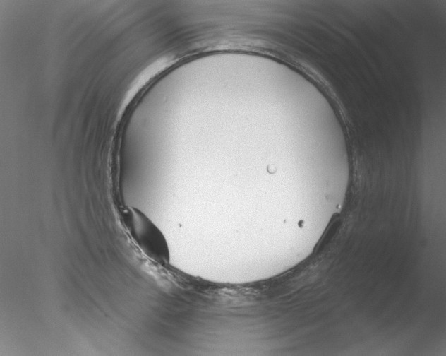 X0000076421138200611031807