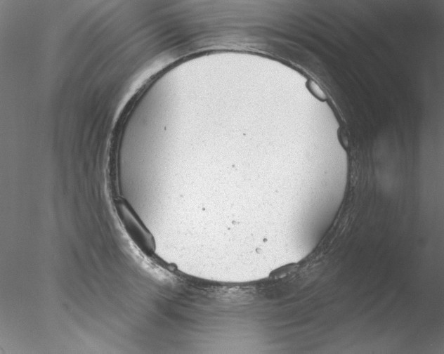 X0000076421139200611031807