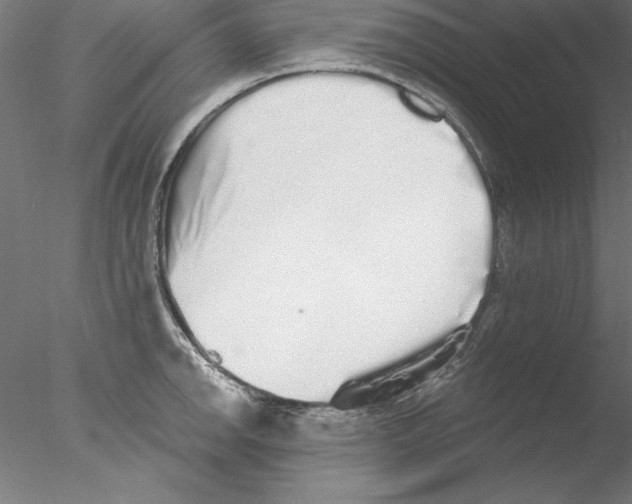 X0000076421142200611031807