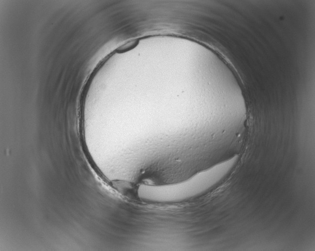 X0000076421143200611031807