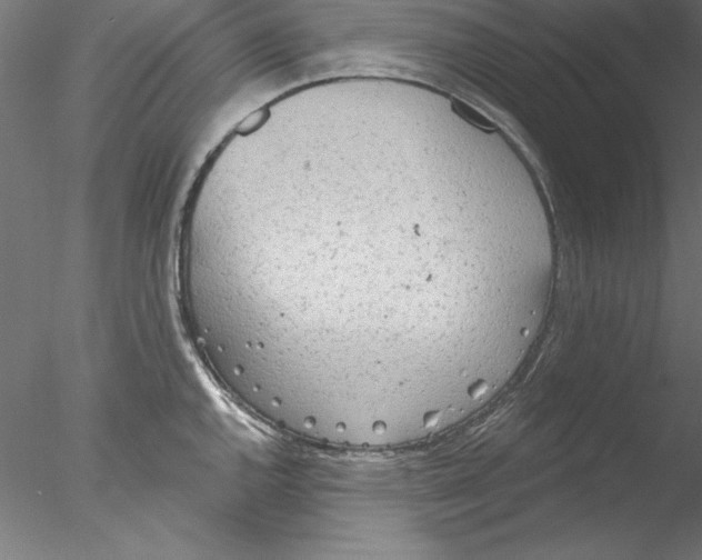 X0000076421144200611031807