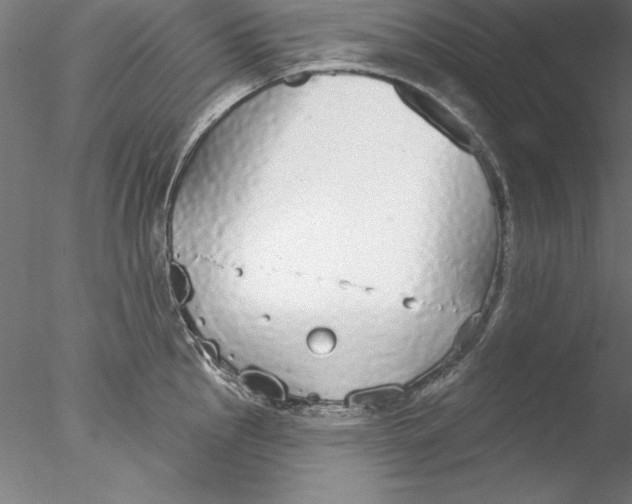 X0000076421145200611031807