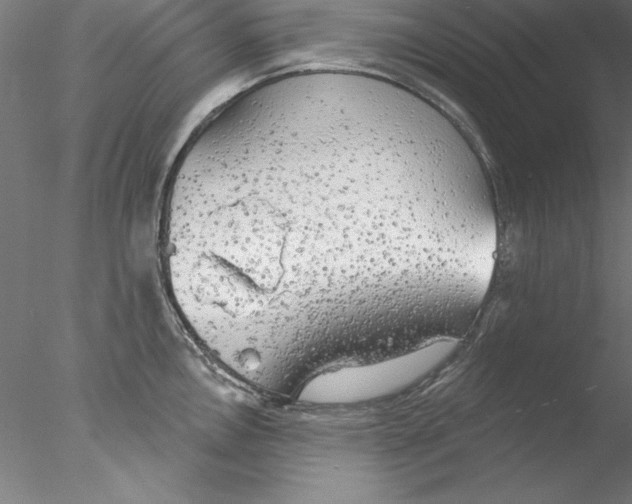 X0000076421146200611031807