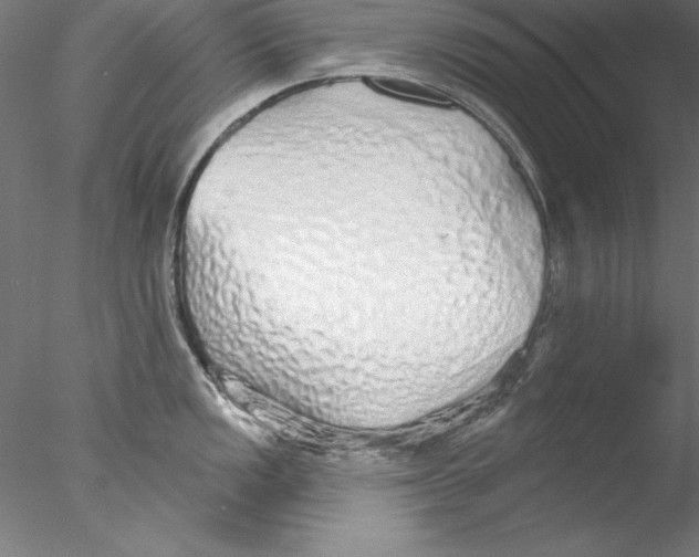 X0000076421149200611031807