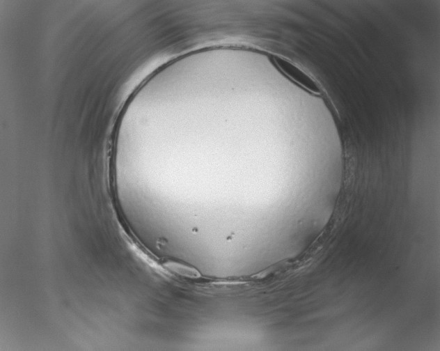 X0000076421151200611031807