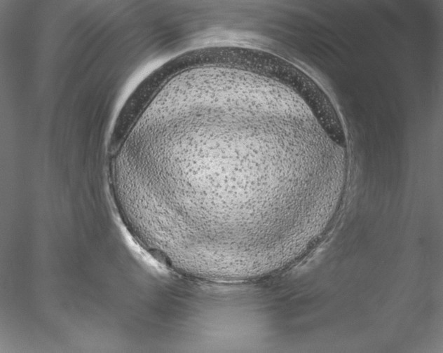 X0000076421152200611031807