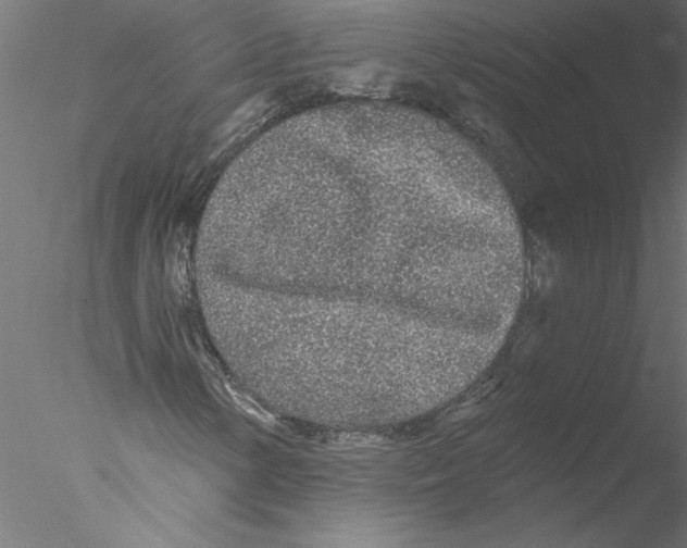 X0000076421154200611031806