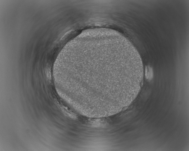 X0000076421155200611031806