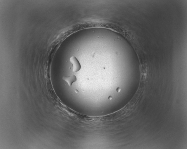 X0000076421157200611031806