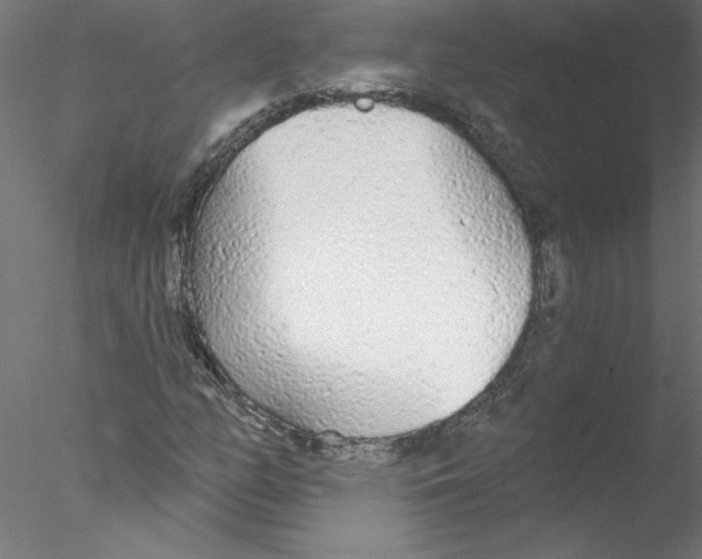 X0000076421158200611031806