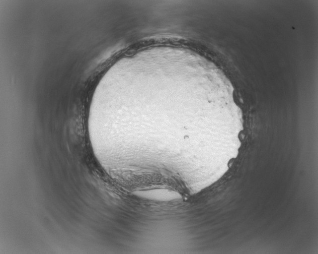 X0000076421159200611031806