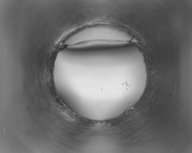 X0000076421160200611031806