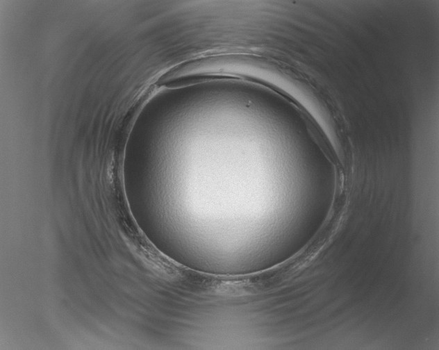 X0000076421161200611031806