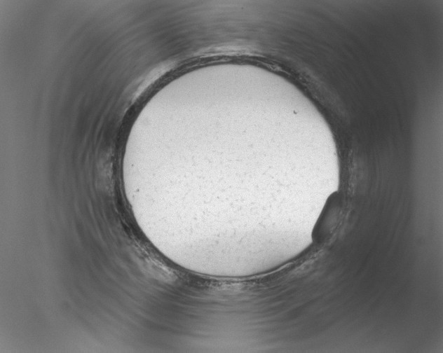 X0000076421162200611031806