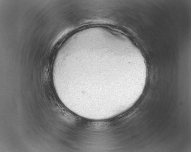 X0000076421163200611031806