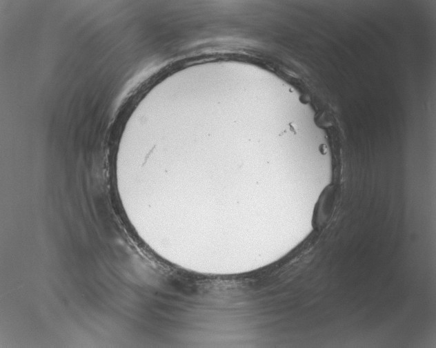 X0000076421164200611031806