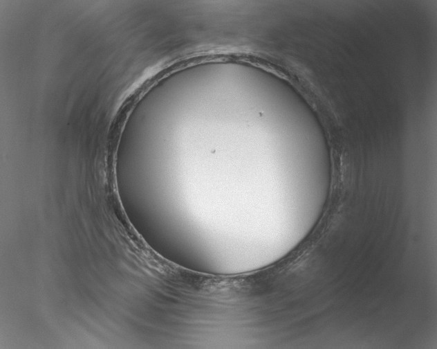 X0000076421165200611031806