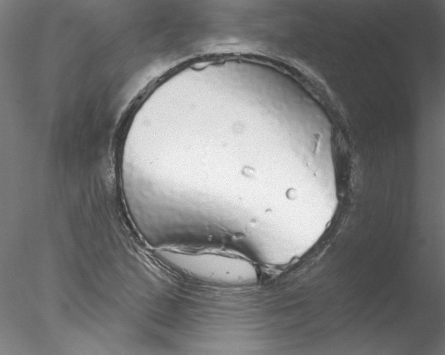 X0000076421167200611031806