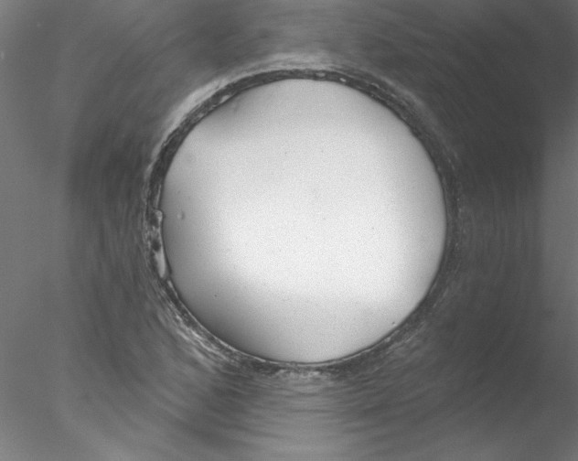 X0000076421168200611031806