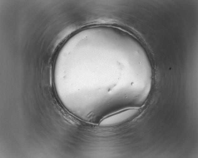 X0000076421171200611031806