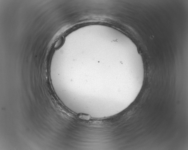 X0000076421172200611031806