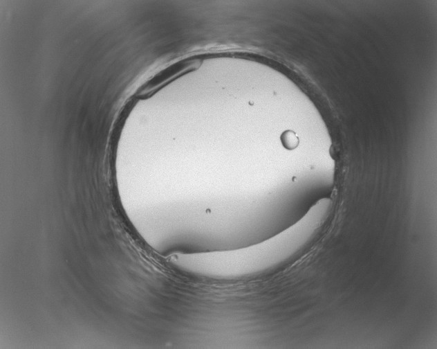 X0000076421173200611031806