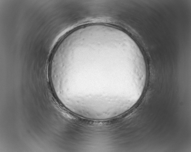 X0000076421174200611031806