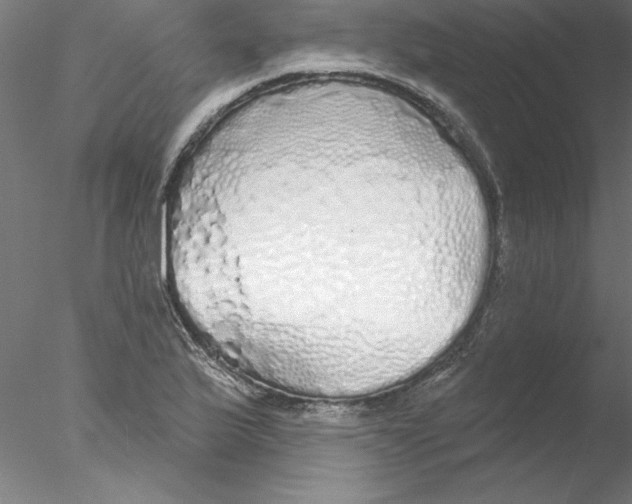 X0000076421175200611031806