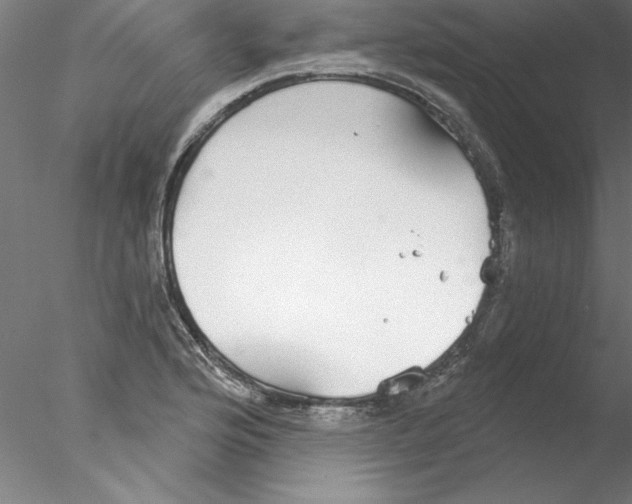 X0000076421176200611031806