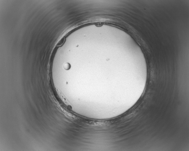 X0000076421178200611031806