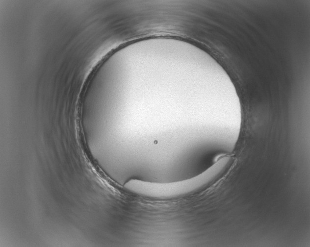 X0000076421182200611031805