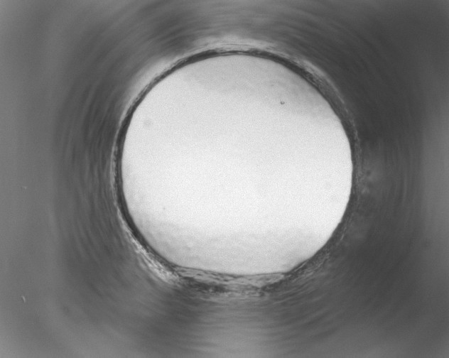 X0000076421183200611031805